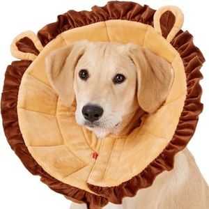 Dog Cone/ Recovery Collar